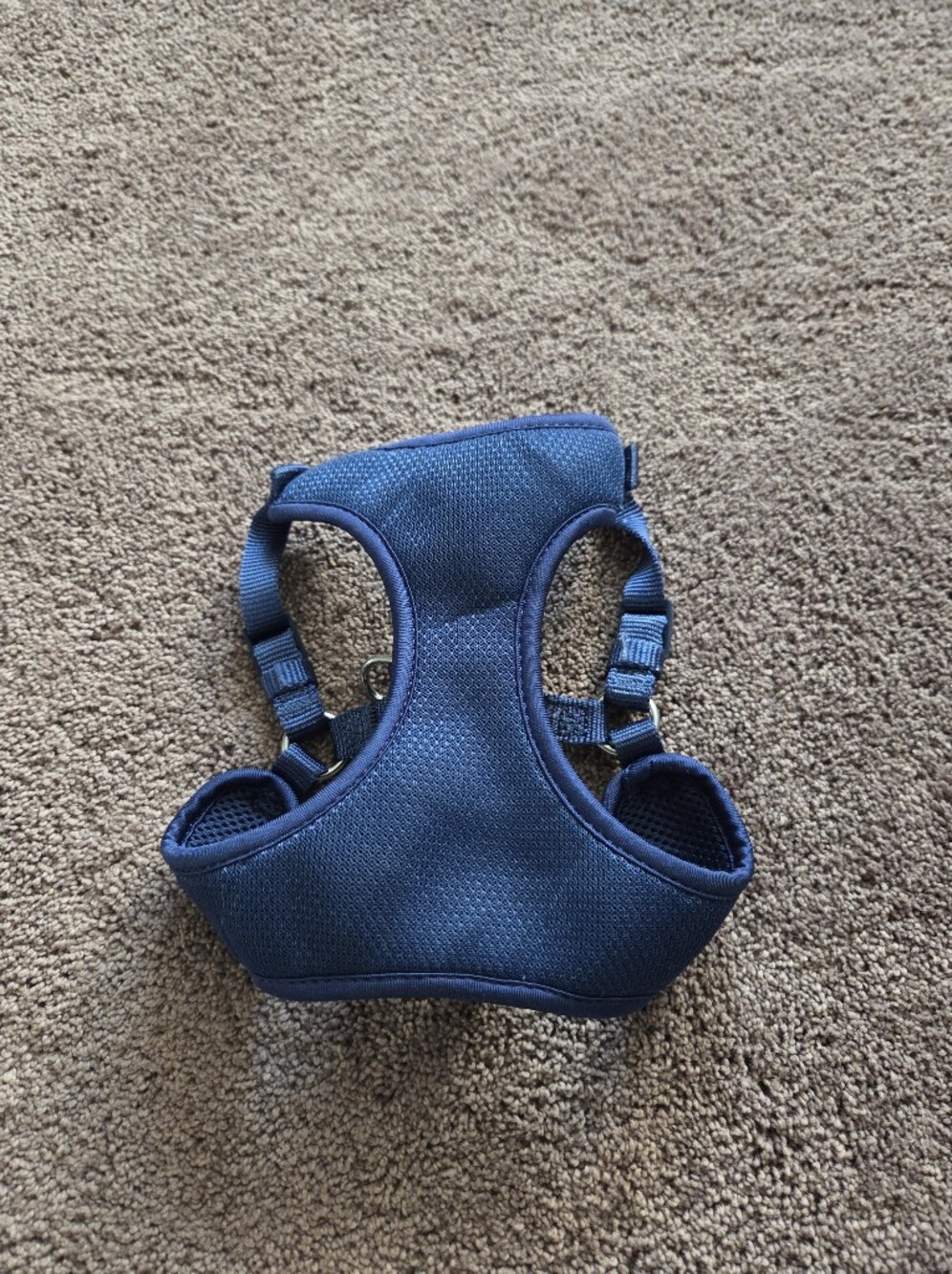 Top Paw Blue Mesh Padded Small Pet Harness